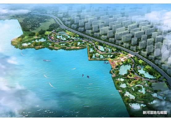 新河湿地修复建设工程效果图