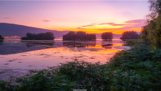 华夏四季 | 入湾区圈层，揽四季人生