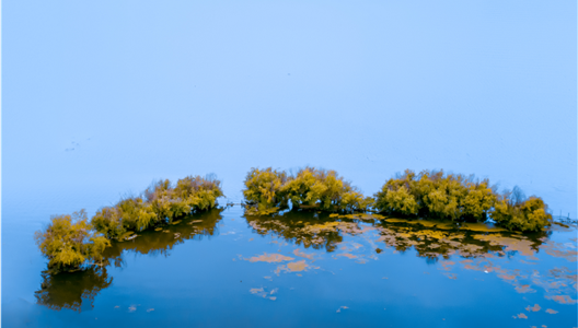 华夏·澜台府 | 舒居于此，你与海鸥的距离只有……