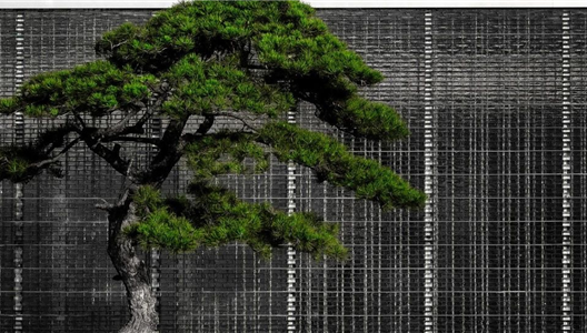 华夏·澜台府 | 园林潜藏礼序，让生活向精致而行