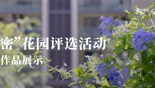 华夏阳光 | 一号参赛作品：四季的浪漫花园