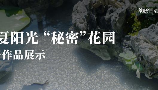 华夏阳光丨二号参赛作品：山水灵动空间