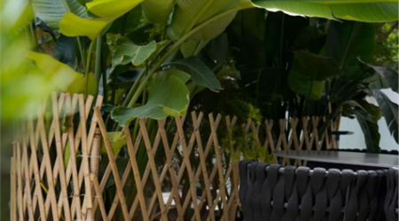 华夏阳光丨院子里的100种生活方式 N007